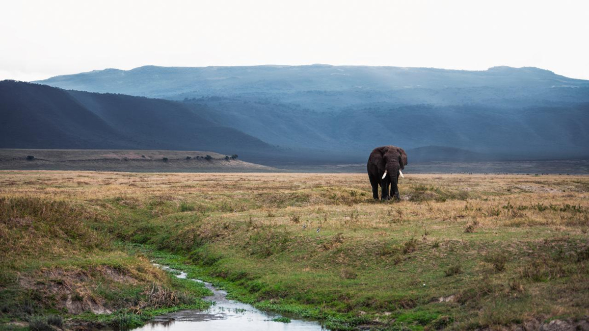 tanzania safari duration