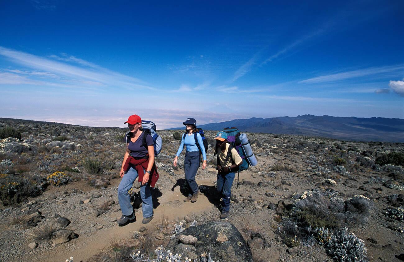 Kilimanjaro Trekking for Beginners: Training