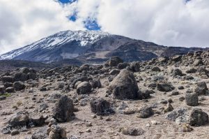 Mount Kilimanjaro Trekking Guide 2027–2028: Routes and Expert Tips