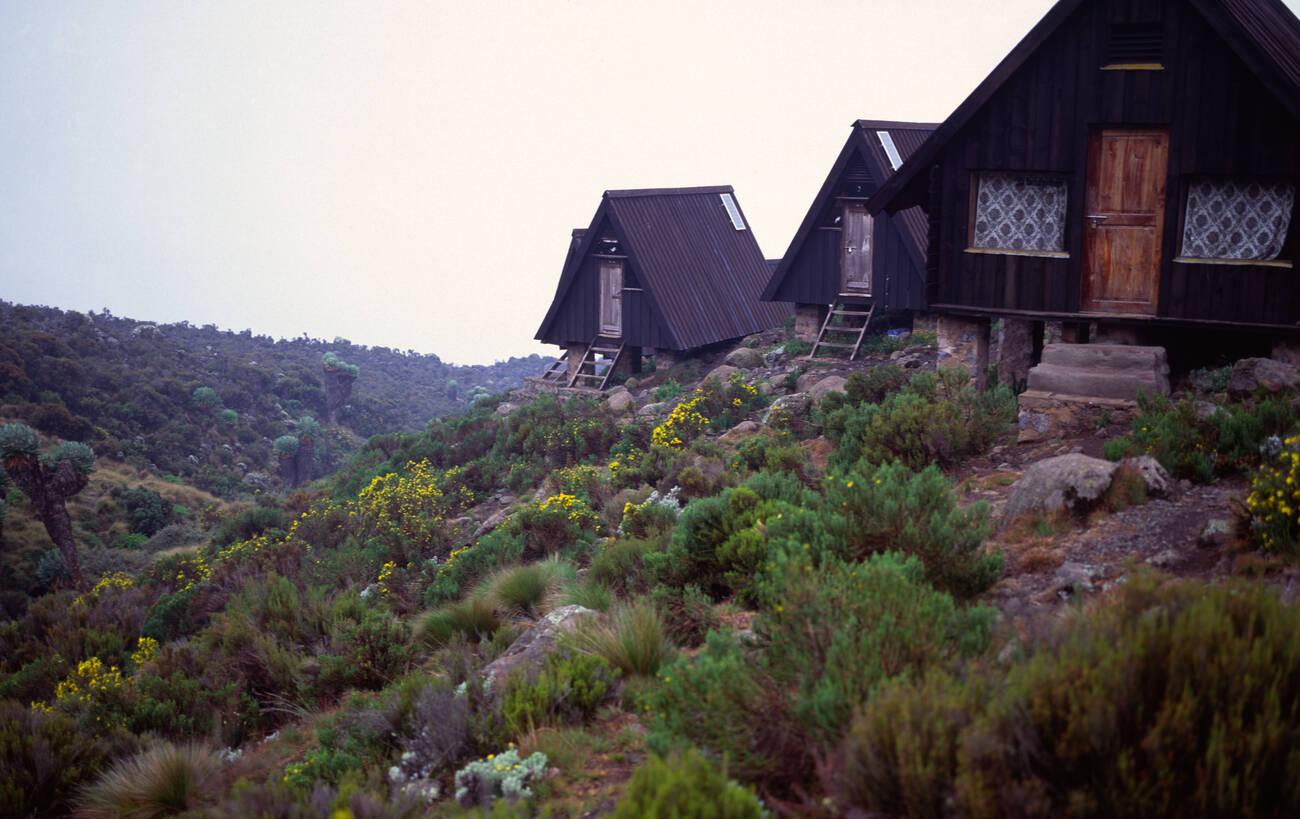 mount kilimanjaro trekking cost