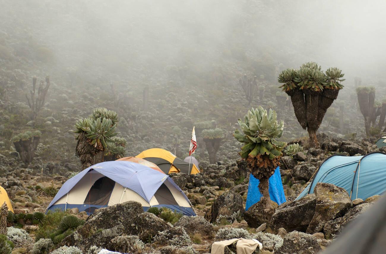 mount kilimanjaro trekking cost