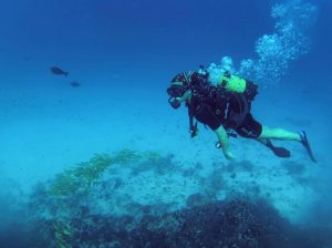 Top Things to Do in Zanzibar After Your Safari