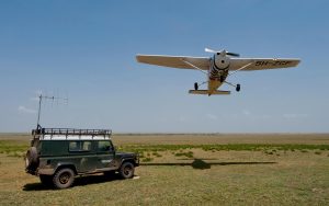Complete Best Guide to Fly In Safari Tanzania