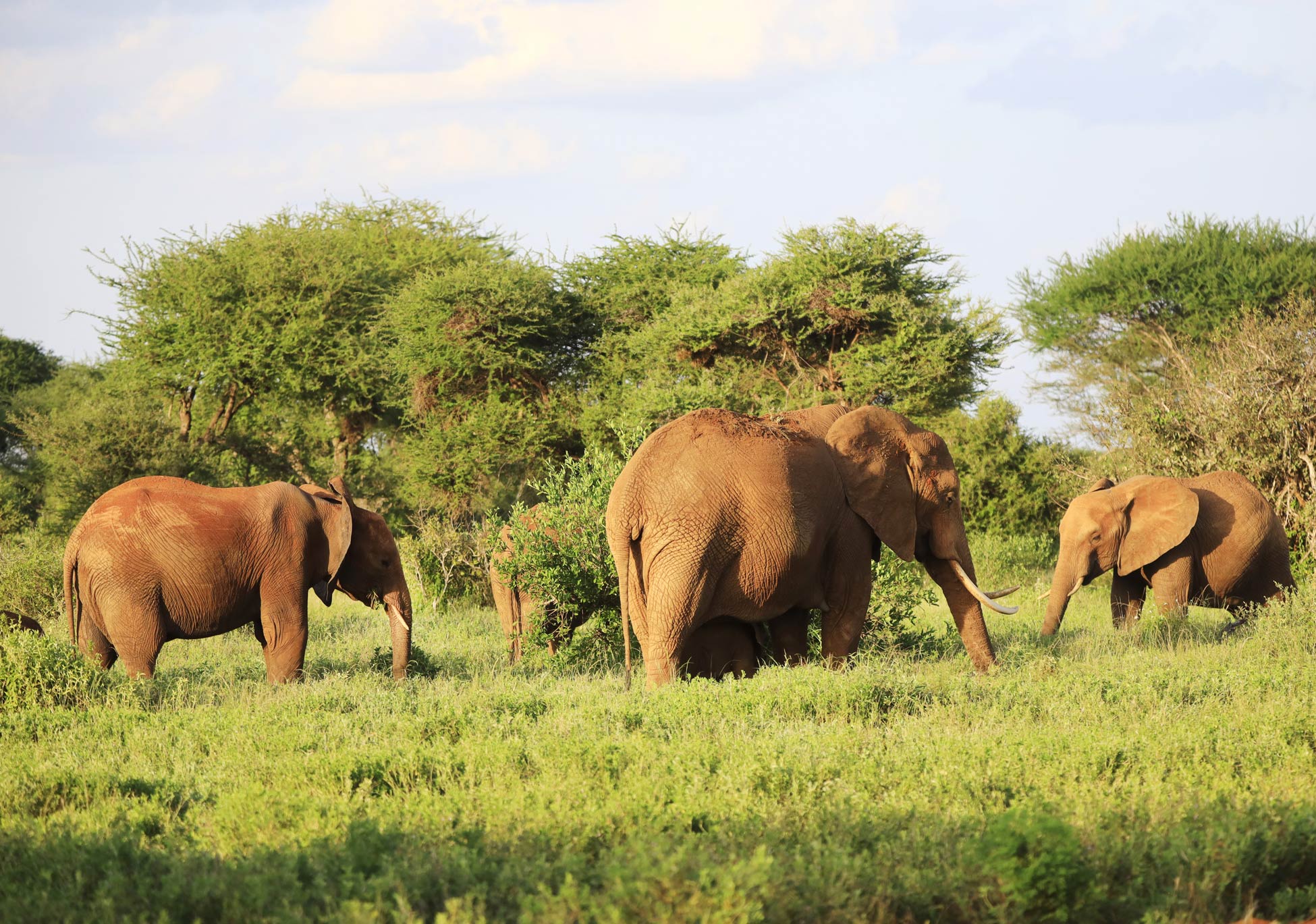 Complete Guide to Katavi National Park