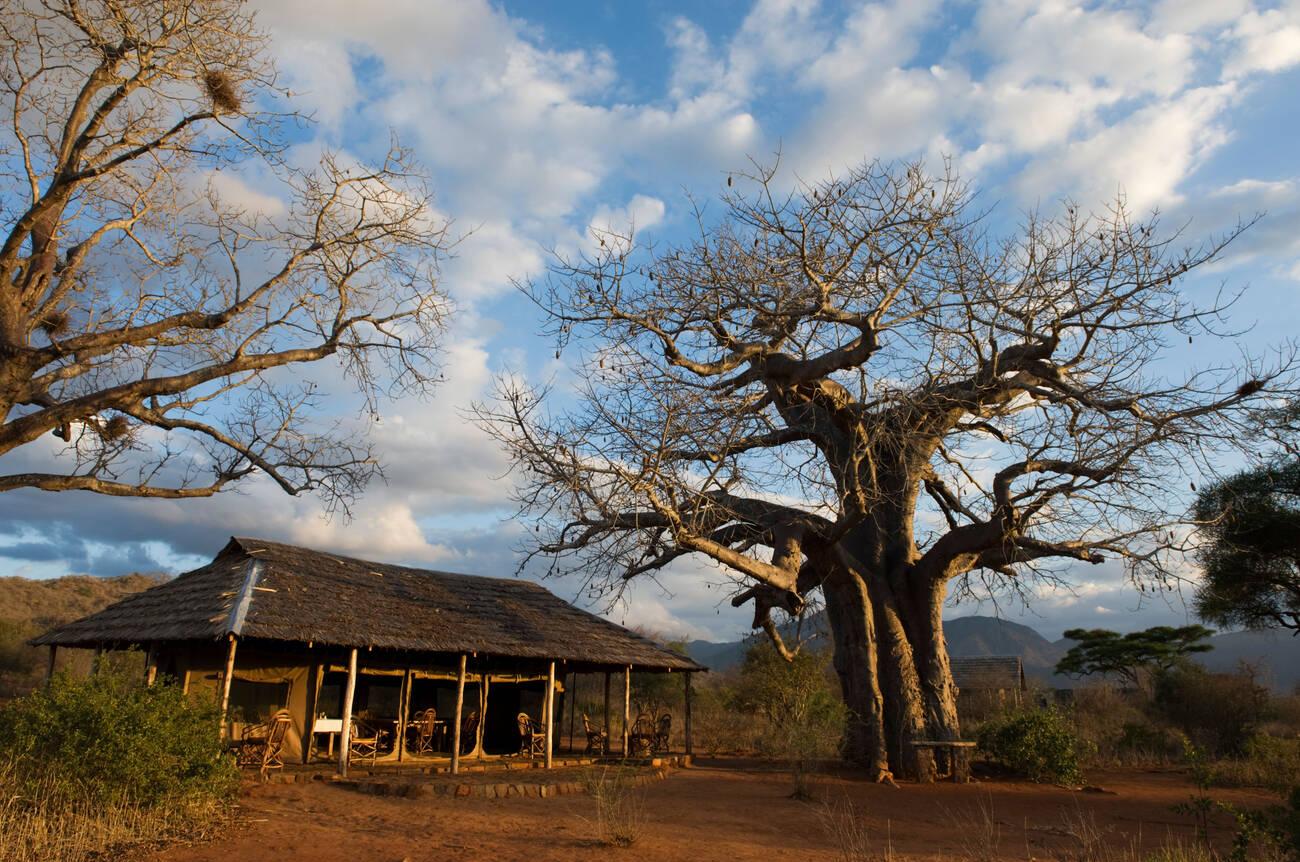 complete guide to Mkomazi National Park