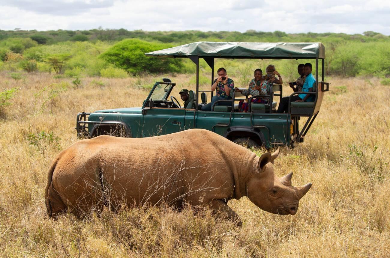 complete guide to Mkomazi National Park