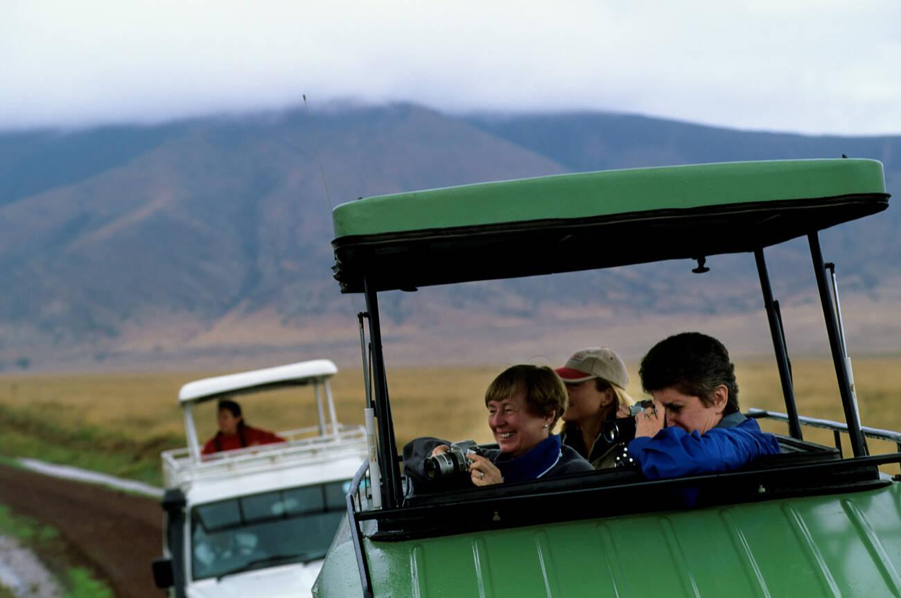 complete guide to Mkomazi National Park