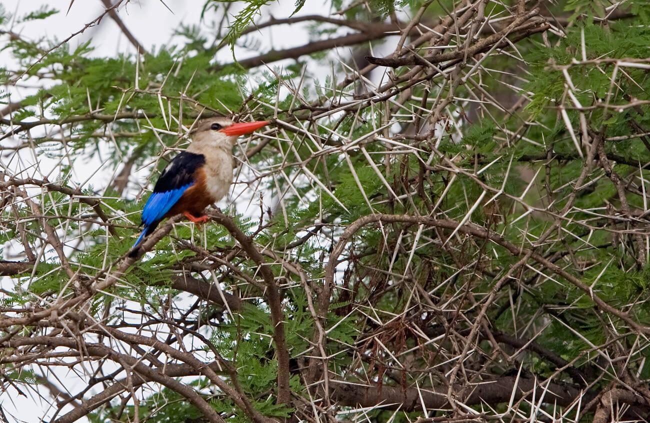 best time to visit Tanzania